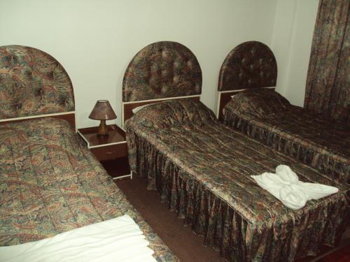 Peace Way Hotel Petra Εξωτερικό φωτογραφία